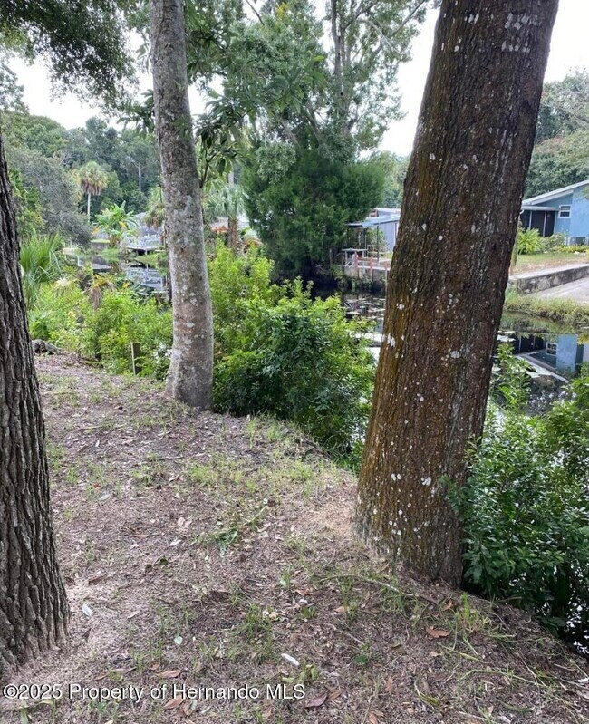 Building Photo - 6432 Finance Ave