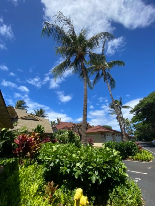 Building Photo - 92-1001 Aliinui Dr