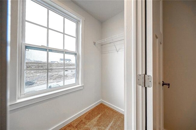 Building Photo - 123 Foxhound Dr