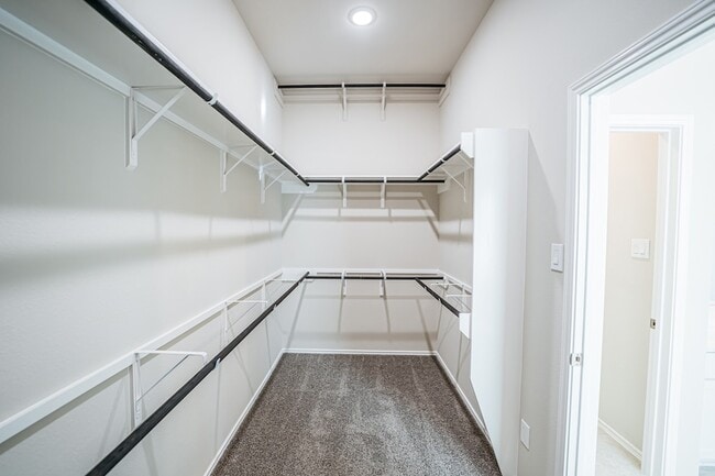 Building Photo - 20443 Scout Lndg Trl