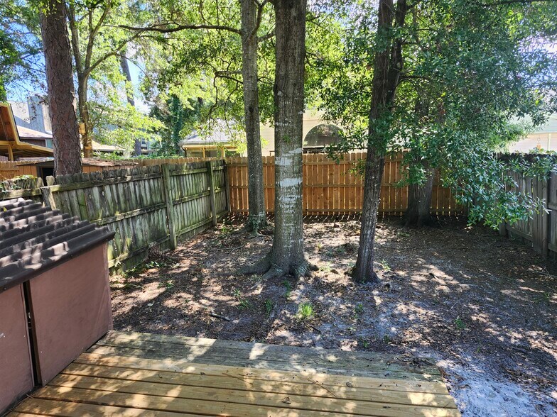 Back yard - 38 4th St