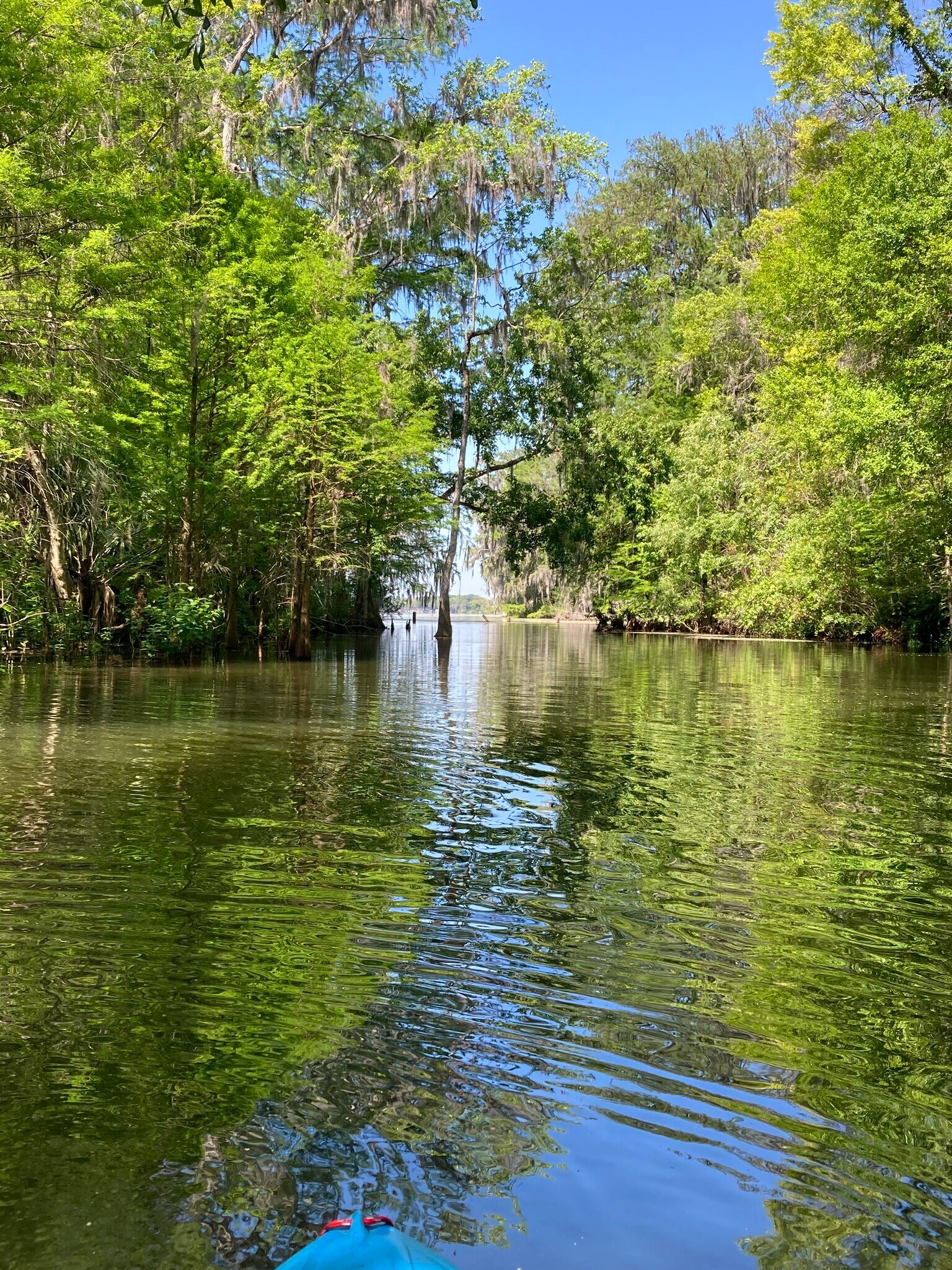 Outflow creek nice for kayaking down ka - 368 Georgetown Dr