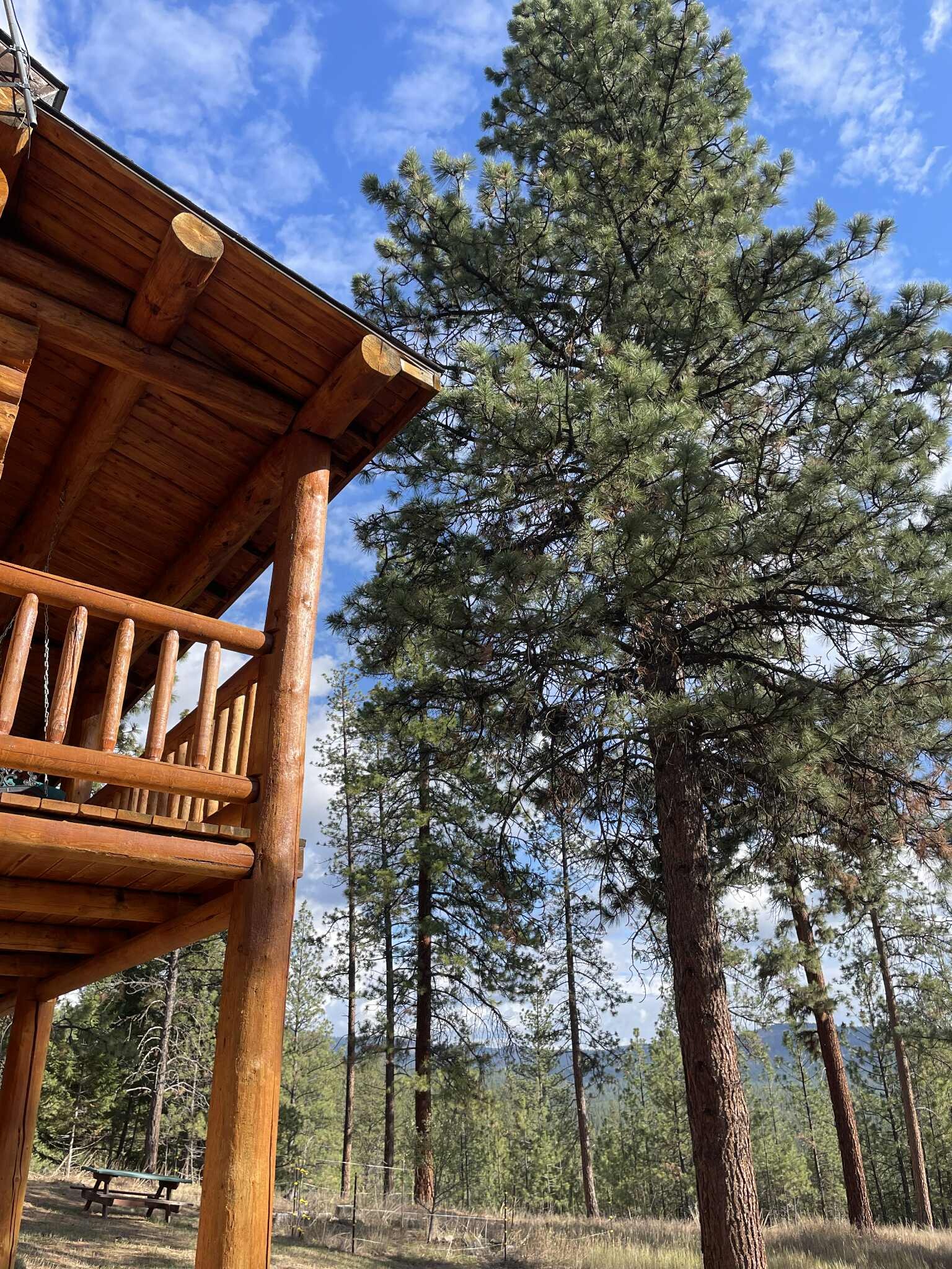 Outside - 2115 Ridge Ranch Rd