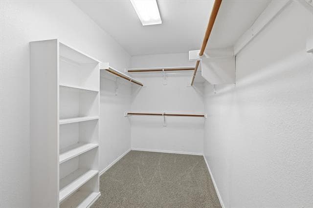 Building Photo - 1503 Nightingale Ln