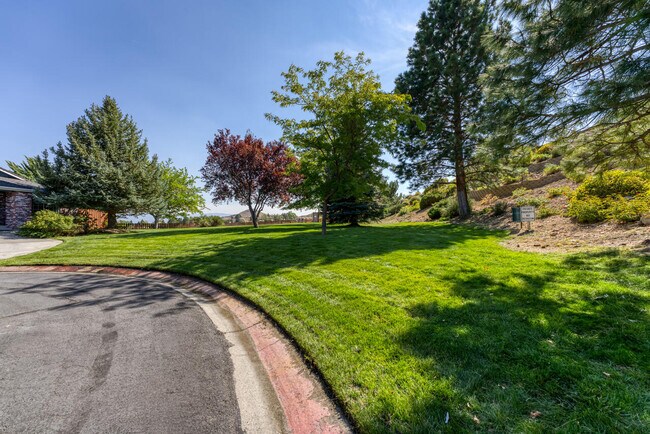 Building Photo - 2320 Overlook Ct