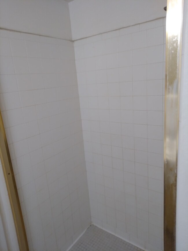 MASTER SHOWER - 6734 N 19th St