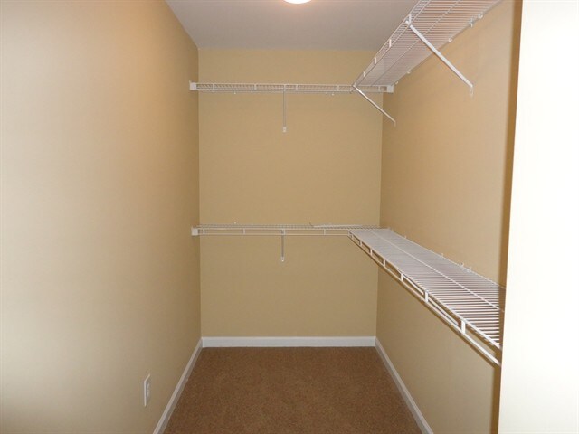 Building Photo - 2737 Autumn Bluff Way