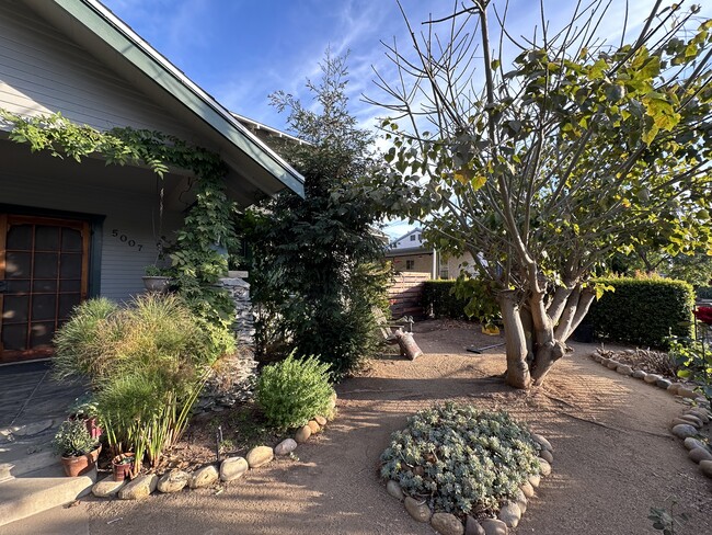 Side view of Front yard - 5007 Raymond Pl