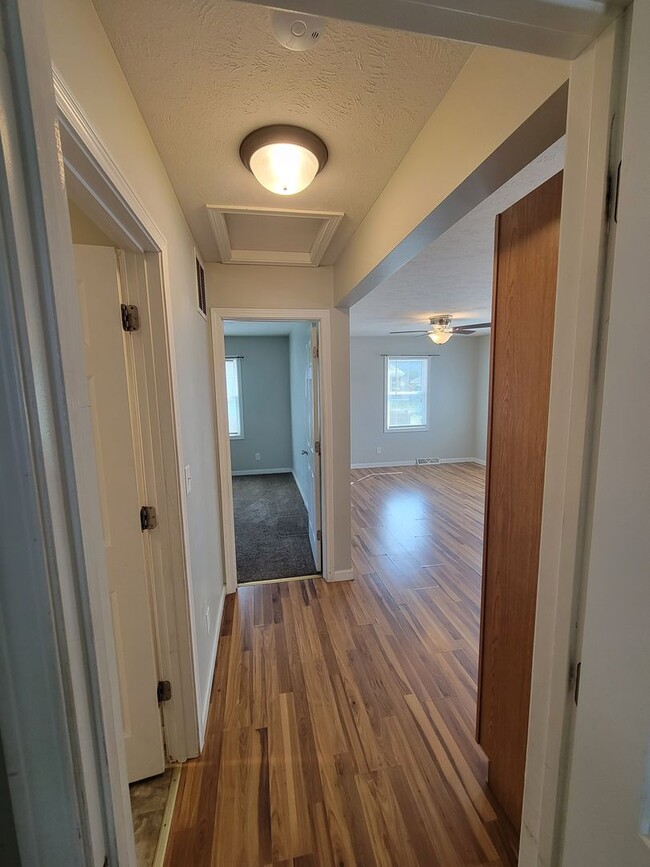Building Photo - Beautiful 3 Bed 2 Bath House!