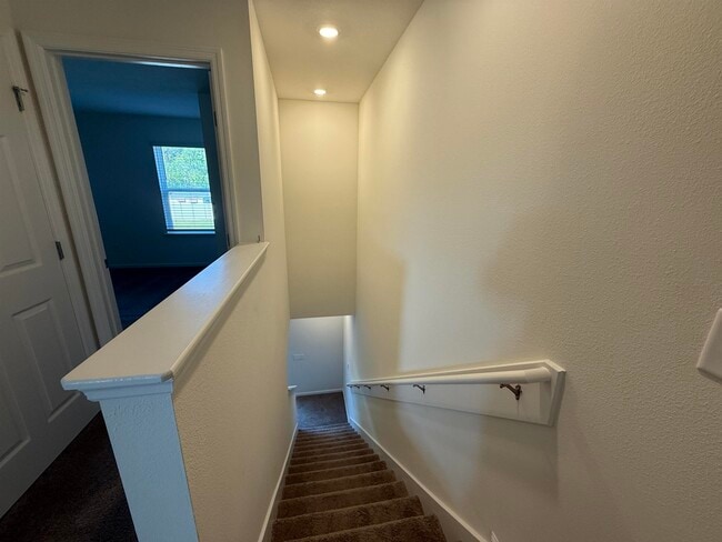 Building Photo - 159 Beach Palm Ct