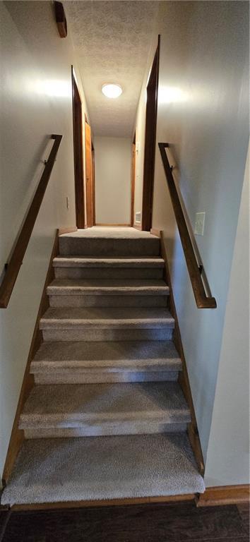 Building Photo - 303 Cacique Ct