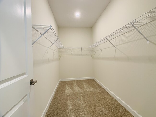 Building Photo - 2775 Norway Maple Ct