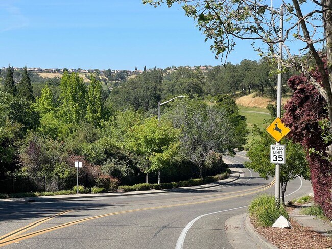 Building Photo - Wonderful 4bd/3ba Rocklin Home-Must See!