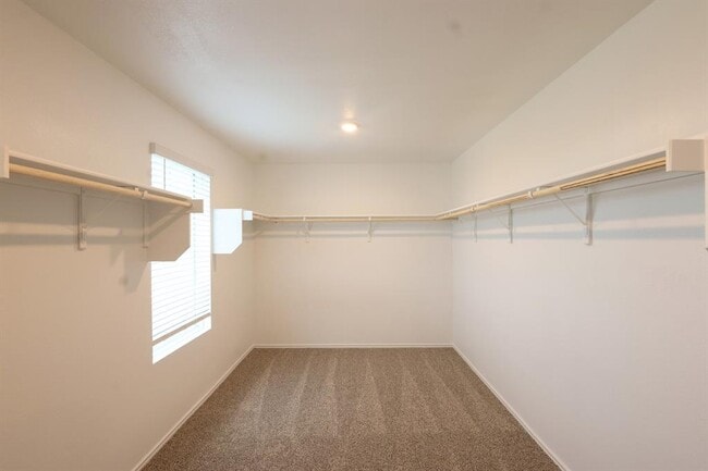 Building Photo - 12306 Bulldogger Bnd