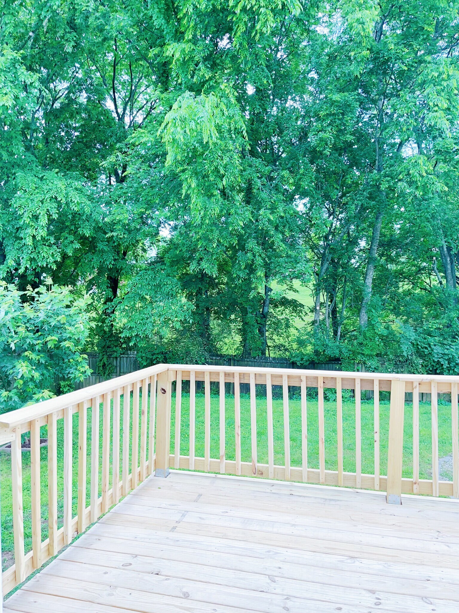 Deck and backyard - 129 Baker Springs Ln
