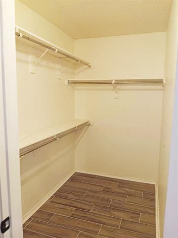 Building Photo - 532 Brandy Ct