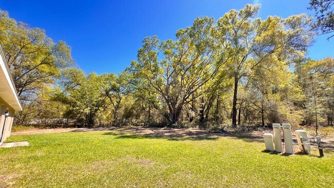 Building Photo - 3 BD/2BA Home in Beautiful Ocklawaha Ready for Move-In