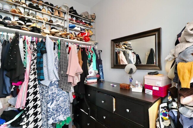 Building Photo - 19 Graham St