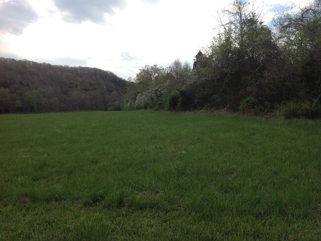 Building Photo - Private Access to the Big Piney River