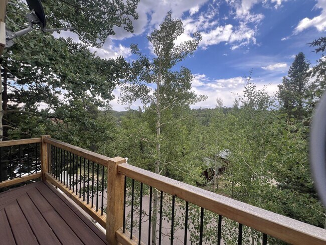 Building Photo - Beautiful Home in Echo Hills!