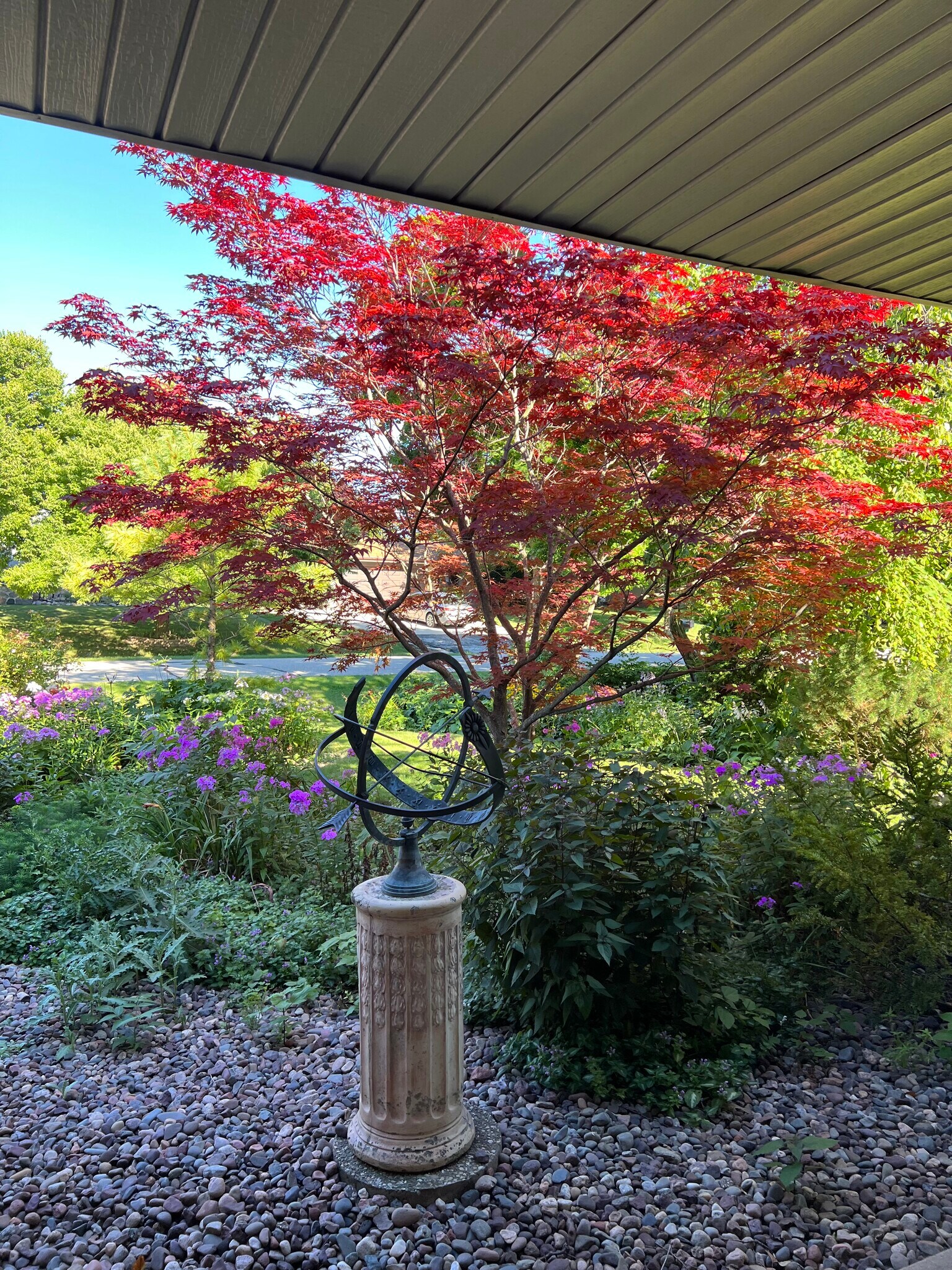 Building Photo - 8551 N Point Dr