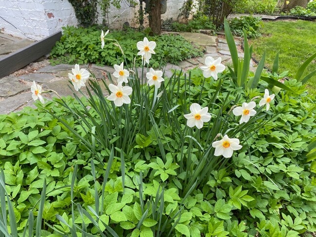 Building Photo - Furnished Single-Family in State College - Short-Term Possible