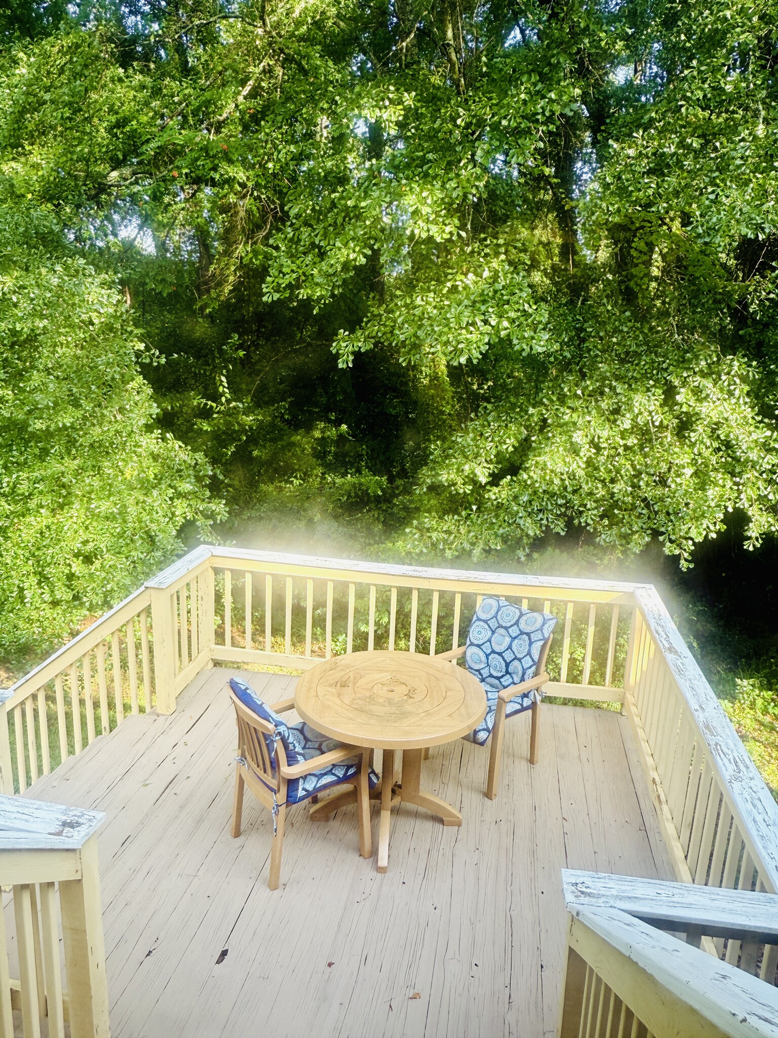 Deck - 4388 Barrington Pl