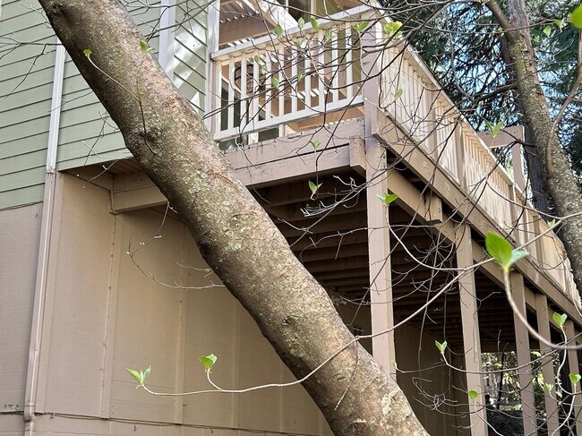 Building Photo - 209 Cool Creek Ln