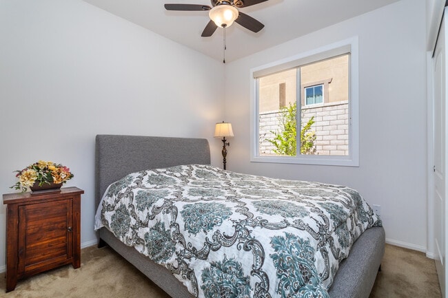 Building Photo - 28629 Farrier Dr