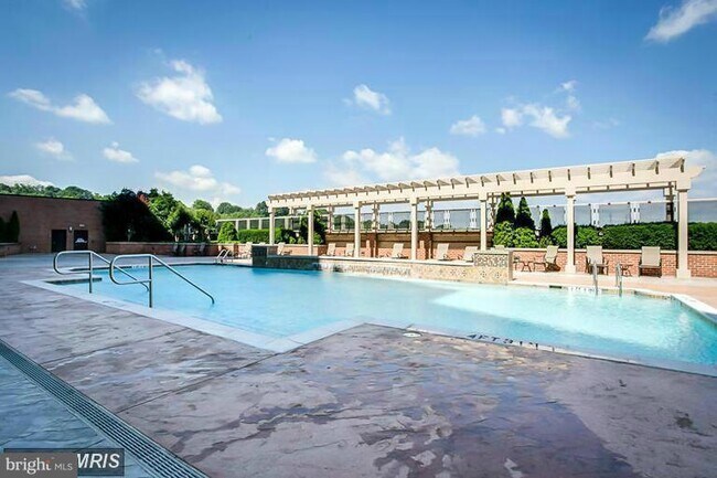 Pool Deck - 2451 Midtown Ave