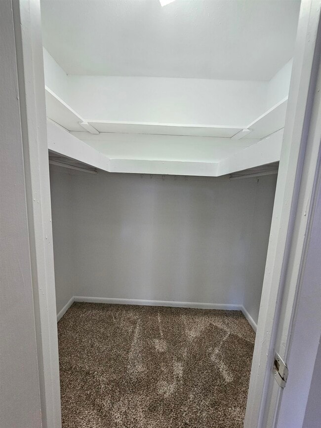 Building Photo - 3509 Tullamore Ln