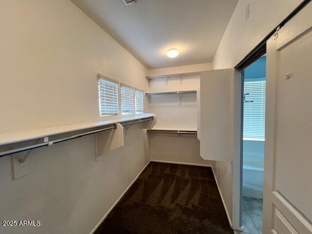 Building Photo - 10618 W Lone Cactus Dr