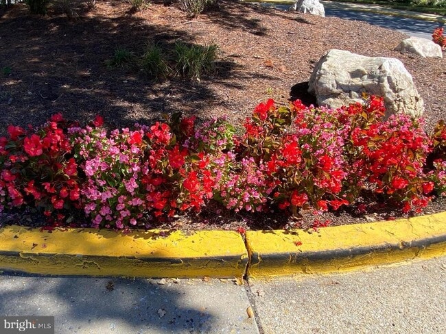 Building Photo - 6924 Hanover Pkwy