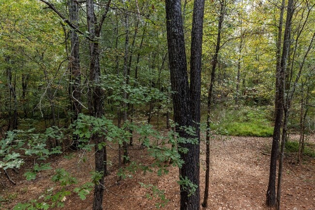 Building Photo - 3 bedroom/2.5 Bath End Unit Townhome in Ho...