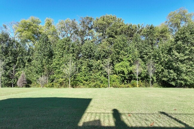 Building Photo - **EXECUTIVE HOME IN WILLIAMSON COUNTY WITH RARE WALK-OUT BASEMENT AND TONS OF STORAGE**