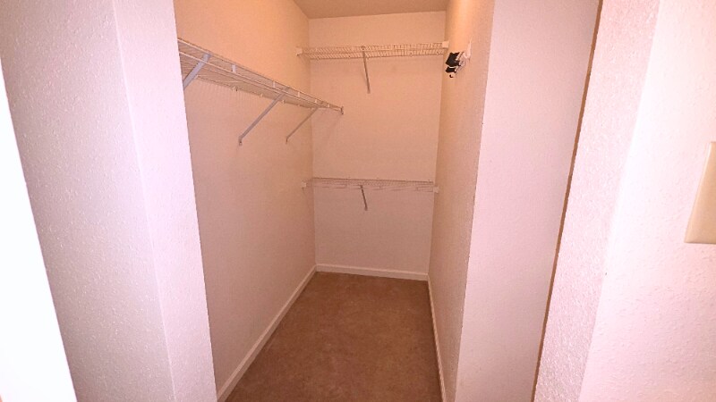 Building Photo - 6249 Salamander Run Ln