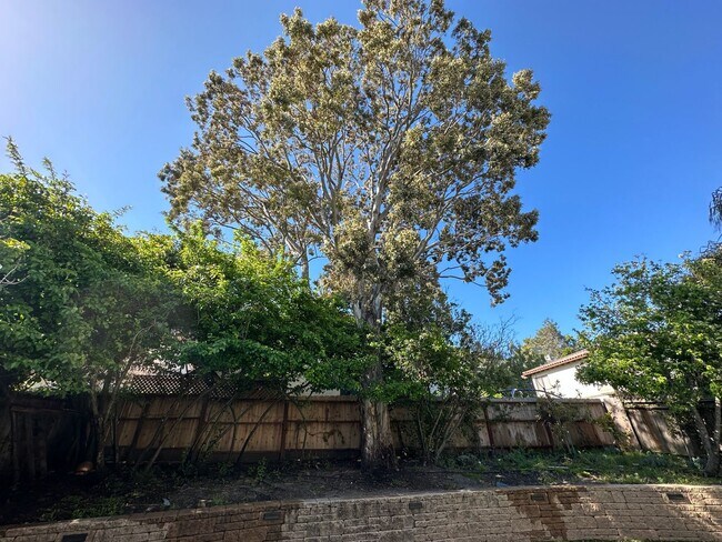 Building Photo - Updated 3 bedroom 2.5 bath with yard