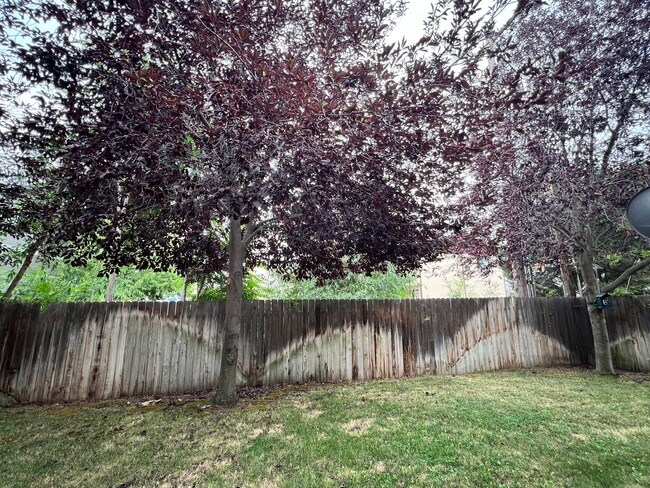 Building Photo - 1713 W Fern Dr