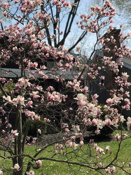 Building Photo - 3530 Hillside Rd