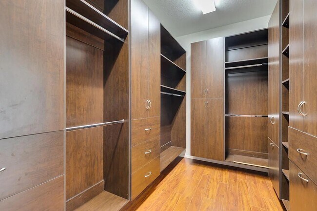 Walk in Closet Large with Large custom closets - 3034 Constable St