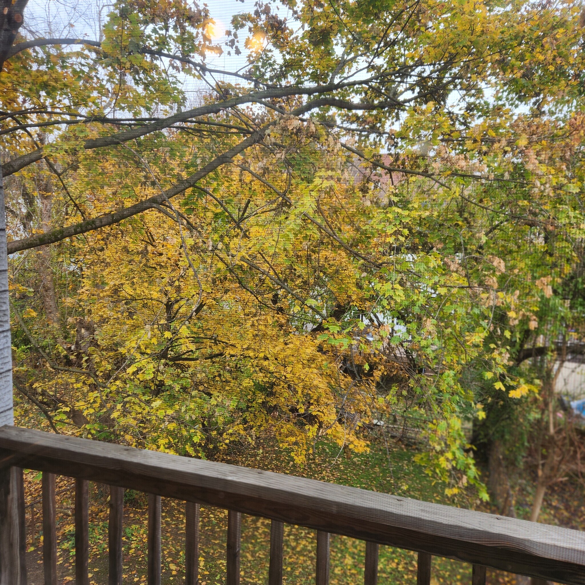 Building Photo - 436 Division Ave