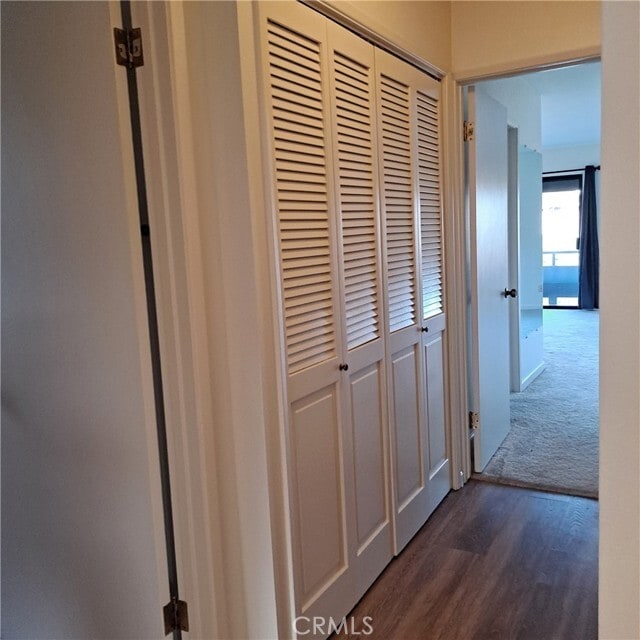 Building Photo - 1113 Steinhart Ave