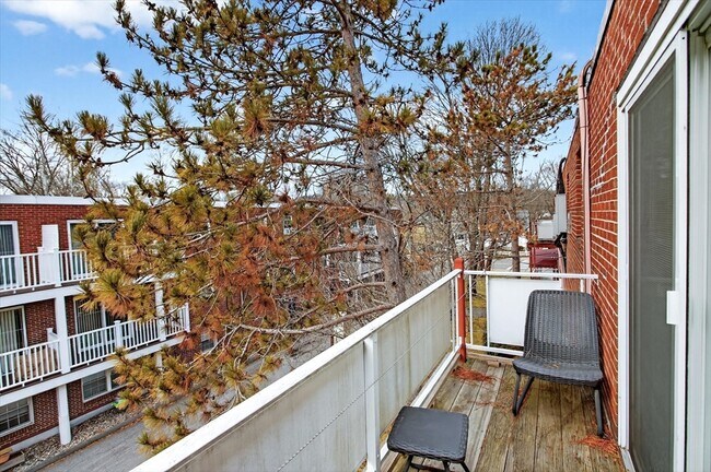 Building Photo - 272 Albion St