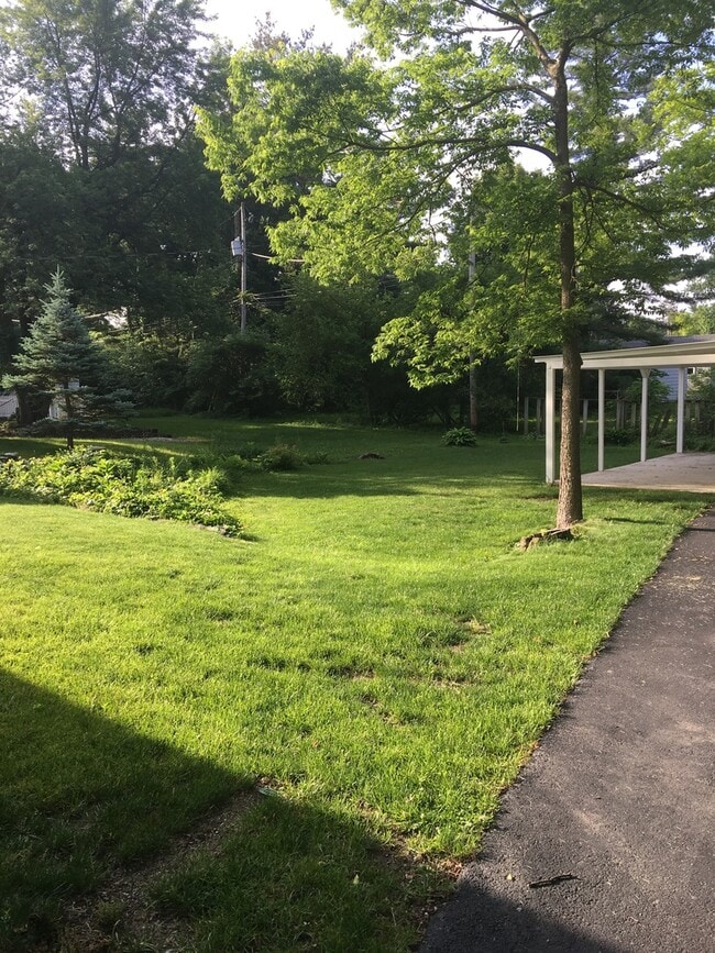 Building Photo - Remodeled 3 Bedroom