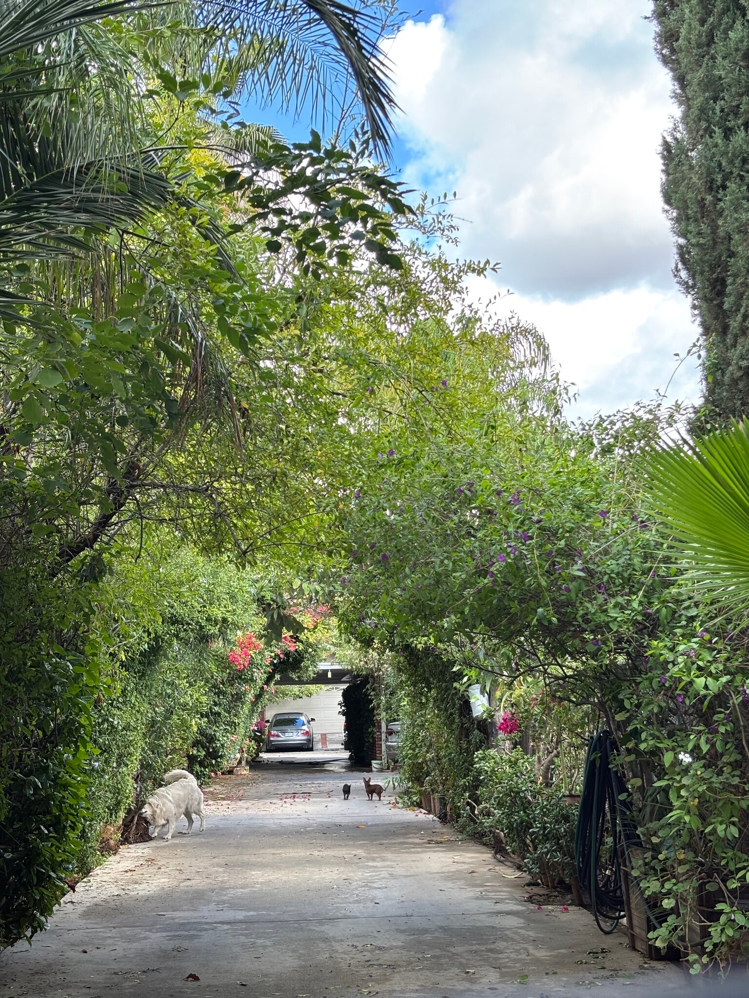 Building Photo - 12646 Ralston Ave