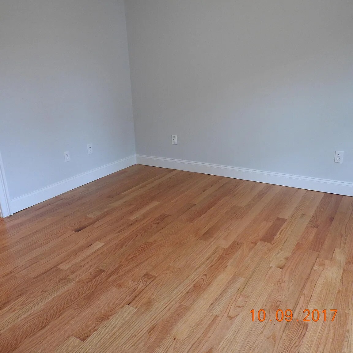 Building Photo - 147 Springvale Ave