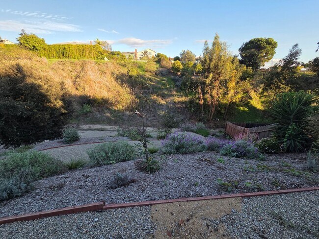 Building Photo - Wonderful Mid Century Home available for lease