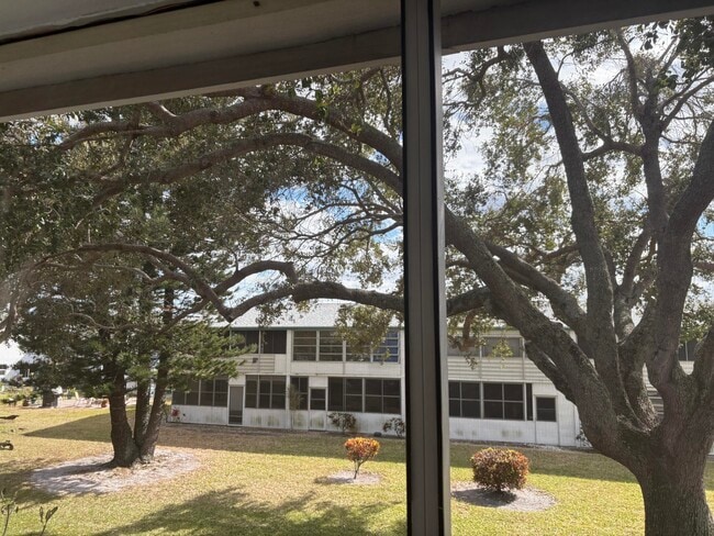 Building Photo - 239 Sussex L