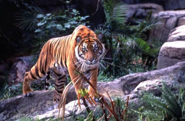 Building Photo - 2505 Livingston Ave