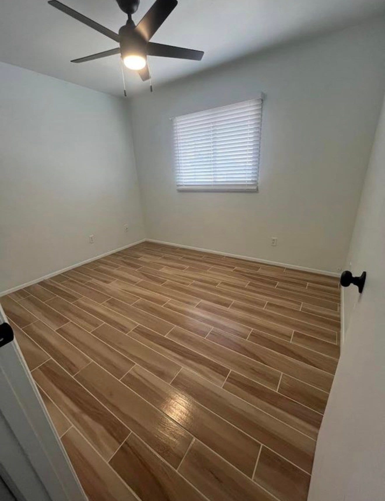 Building Photo - 3729 S Mill Ave